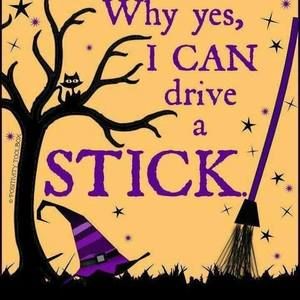 Meet your Posher, Ginger